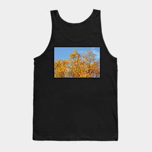 Aspen in Autumn Tank Top